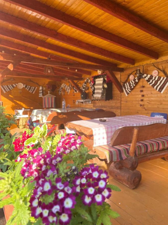 Casa Carmen Hotel Dorna-Arini Kültér fotó